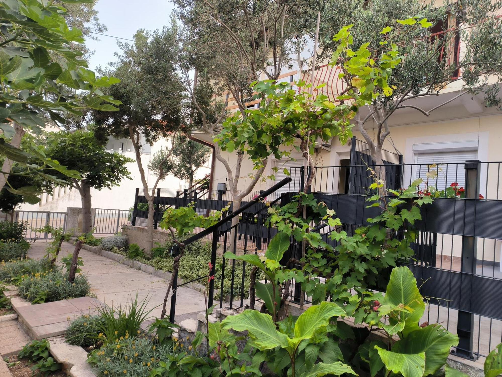 Apartments Orlic Povljana Exterior foto